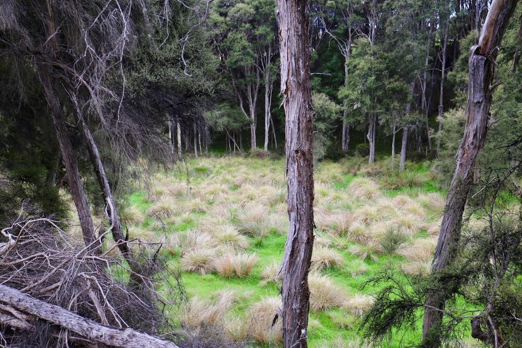 Kahutara PurePod Villa Kaikoura Bagian luar foto